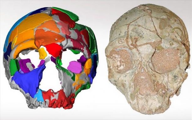Το αρχαιότερο δείγμα Homo Sapiens είναι ελληνικό και βρέθηκε σε σπήλαιο της Μάνης