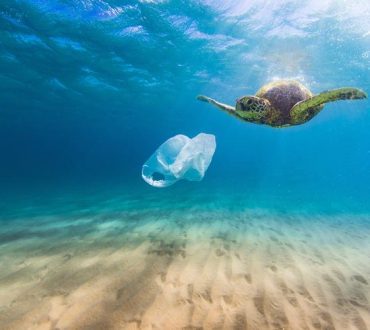 Περιβαλλοντική ομάδα αφαίρεσε 40 τόνους πλαστικού από τον Ειρηνικό Ωκεανό