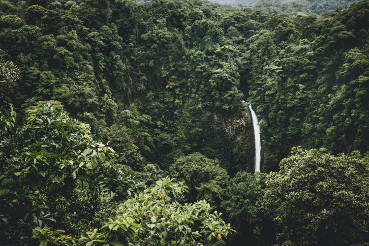 Η Κόστα Ρίκα διπλασίασε τις δασικές της εκτάσεις σε λιγότερο από 30 χρόνια