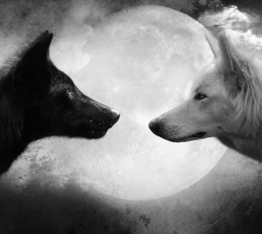 Οι δύο λύκοι μέσα μας: Μια σοφή ινδιάνικη παραβολή