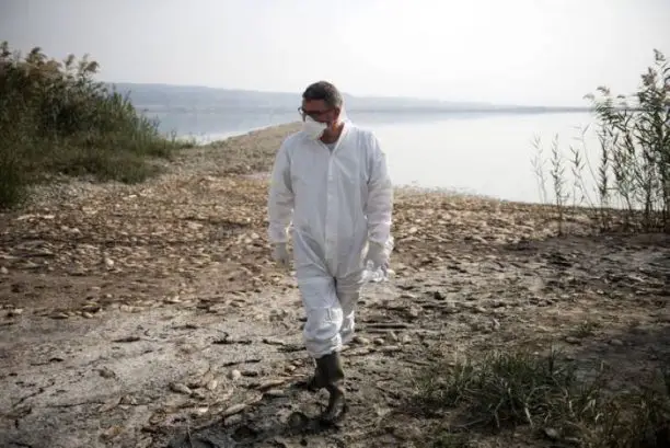 Λίμνη Κορώνεια: Η στάθμη του νερού πέφτει δραματικά και το οικοσύστημα αργοπεθαίνει