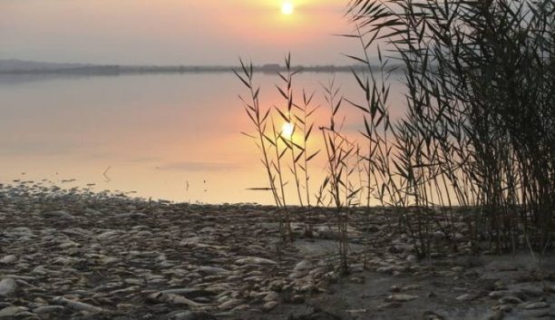 Λίμνη Κορώνεια: Η στάθμη του νερού πέφτει δραματικά και το οικοσύστημα αργοπεθαίνει
