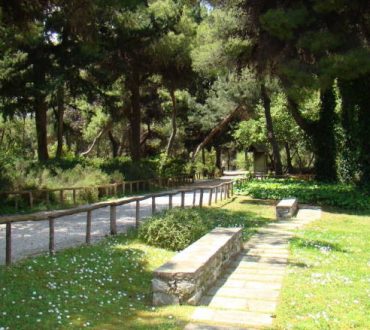 Ανοίγει για το κοινό ο ιστορικός βοτανικός κήπος του ΕΚΠΑ με πάνω από 200 είδη φυτών