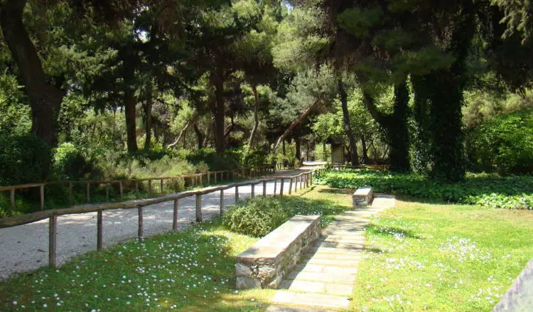 Ανοίγει για το κοινό ο ιστορικός βοτανικός κήπος του ΕΚΠΑ με πάνω από 200 είδη φυτών