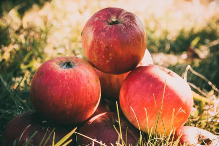 8 εφευρετικοί τρόποι να χρησιμοποιήσουμε τα μήλα