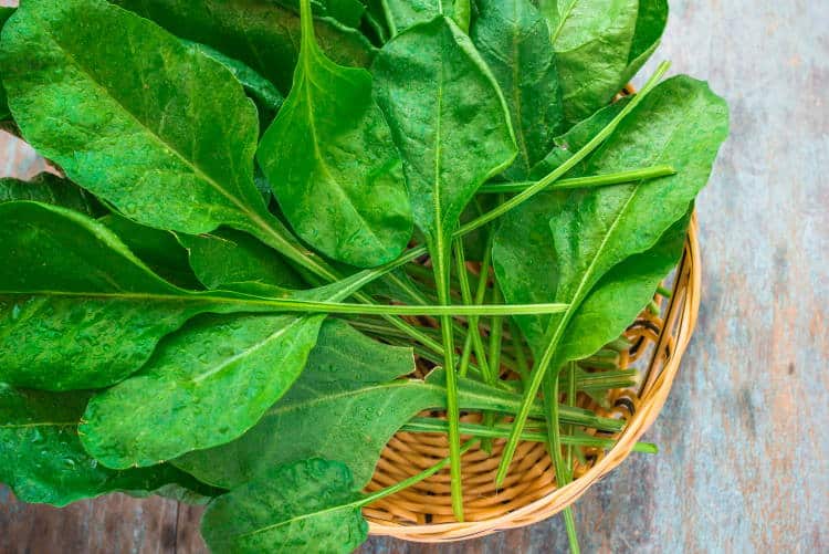 Τα 8 πιο υγιεινά πράσινα λαχανικά που αξίζει να προσθέσουμε στη σαλάτα μας