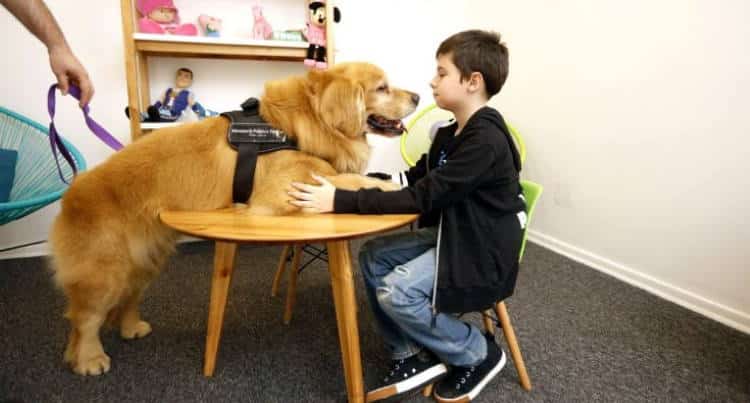 Titan: Ο πρώτος σκύλος θεραπευτής που βοηθά κακοποιημένα παιδιά