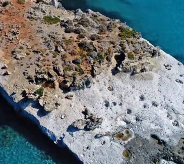 Το μοναδικό απολιθωμένο φοινικόδασος της Ευρώπης βρίσκεται στην Ελλάδα (Βίντεο)