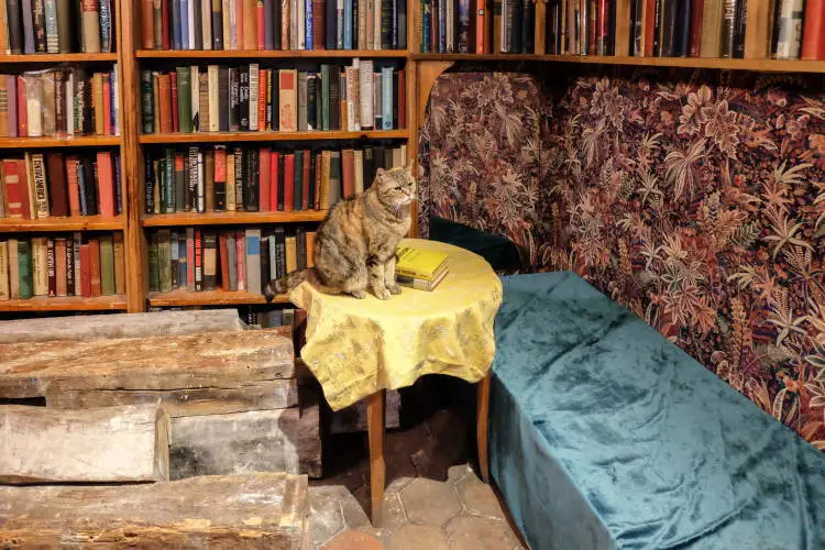 Shakespeare & Company: Τo θρυλικό παριζιάνικο βιβλιοπωλείο όπου οι επισκέπτες μπορούν να κοιμηθούν (Φωτογραφίες)