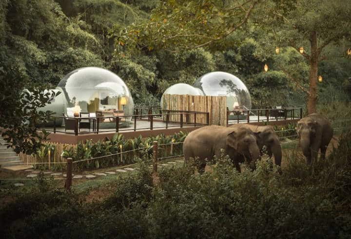 Στην Ταϊλάνδη οι επισκέπτες μπορούν να κοιμηθούν σε γυάλινα δωμάτια δίπλα σε ελέφαντες (Φωτογραφίες)
