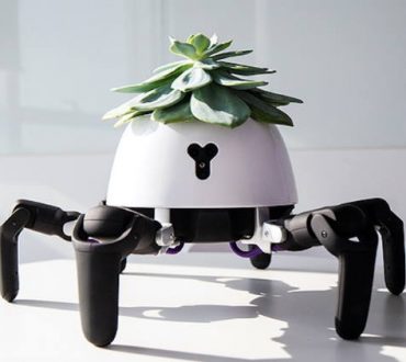 Γλάστρα – ρομπότ ακολουθεί το φως του ήλιου και ειδοποιεί όταν το φυτό χρειάζεται νερό