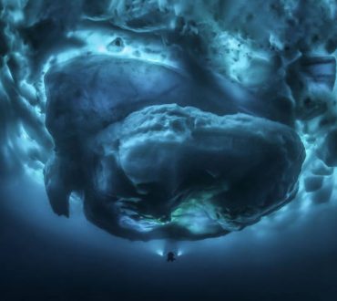 Οι νικητές του 8ου διεθνούς διαγωνισμού υποβρύχιας φωτογραφίας μας αποκαλύπτουν τα μυστικά των ωκεανών