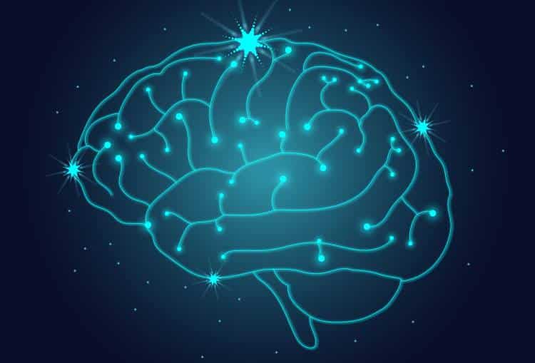 Επιστήμονες καταγράφουν σε βίντεο πώς δημιουργείται στον εγκέφαλο μια νέα ανάμνηση