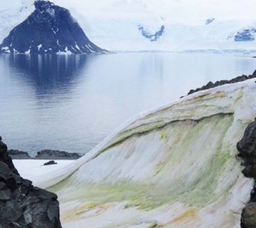 Η Ανταρκτική «πρασινίζει»... και όχι για καλό! Πώς το εξηγούν οι επιστήμονες