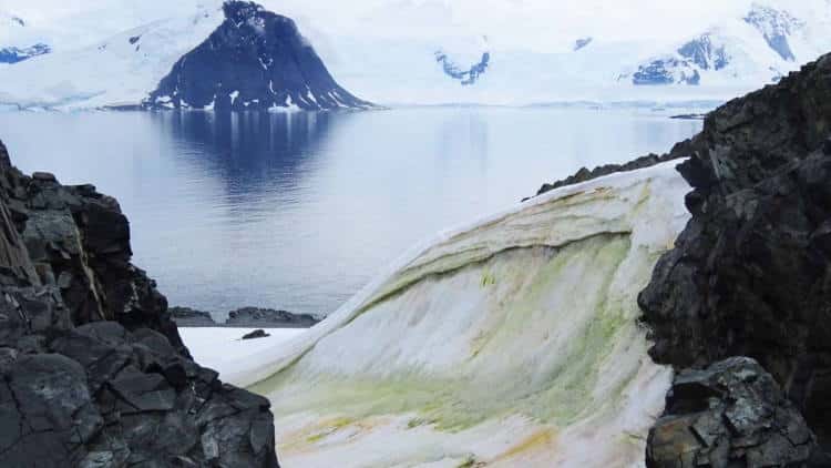 Η Ανταρκτική «πρασινίζει»... και όχι για καλό! Πώς το εξηγούν οι επιστήμονες