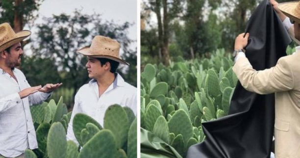Δύο Μεξικανοί δημιούργησαν οικολογικό «δέρμα» από κάκτο (Φωτογραφίες)