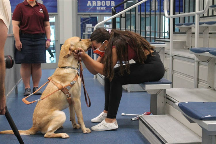 Σκύλος-οδηγός κολυμπά με τυφλή κολυμβήτρια και τη βοηθά να προετοιμαστεί για τους παραολυμπιακούς αγώνες του Τόκυο