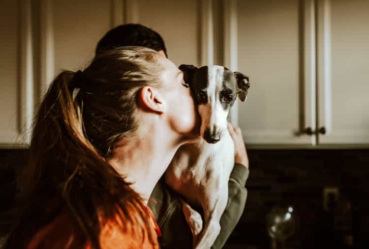 Έρευνα αποκαλύπτει ότι ο καρδιακός ρυθμός του σκύλου αυξάνεται όταν ο ιδιοκτήτης λέει απλώς «σ’ αγαπώ»