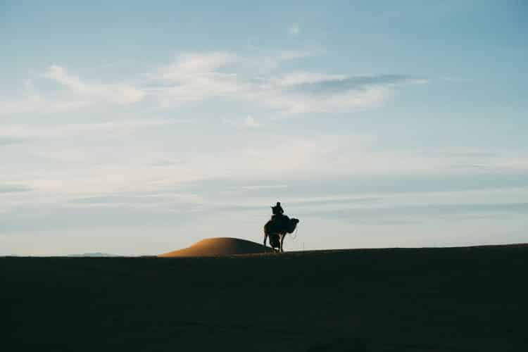 Ερευνητές ανέπτυξαν νέα τεχνολογία ψύξης εμπνευσμένοι από τον τρόπο που δροσίζονται οι καμήλες στην έρημο