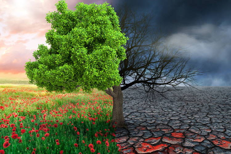 "Το Δέντρο με το Δηλητήριο": Ο θυμός σβήνει μέσα από την επικοινωνία | Ουίλιαμ Μπλέικ