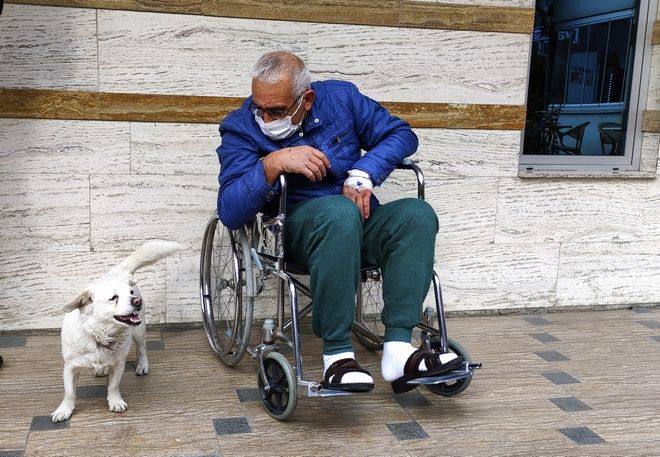 Σκυλίτσα περίμενε υπομονετικά τον ιδιοκτήτη της επί πέντε μέρες έξω από το νοσοκομείο