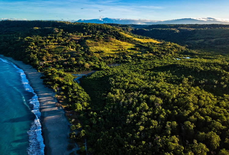Κόστα Ρίκα: Πώς ξεπέρασε την κρίση αποψίλωσης και έγινε παγκόσμια πρωταθλήτρια στην περιβαλλοντική βιωσιμότητα
