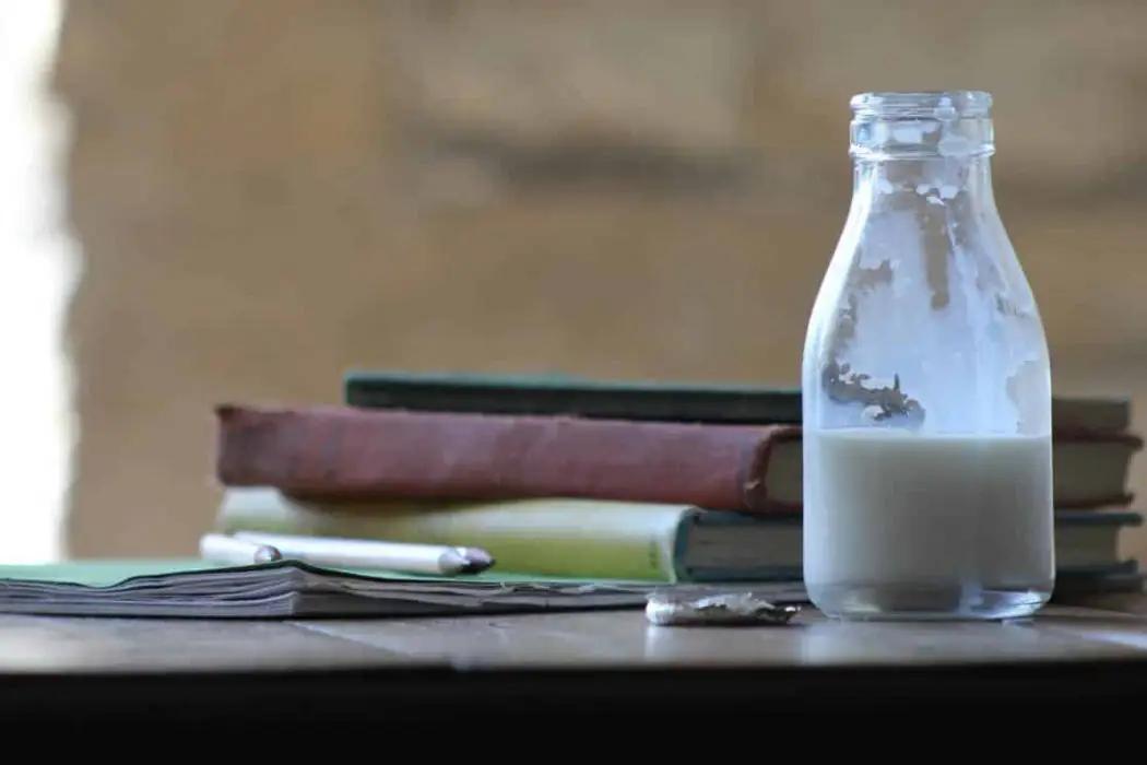 Vegan υποκατάστατα για 3 συνηθισμένα γαλακτοκομικά προϊόντα