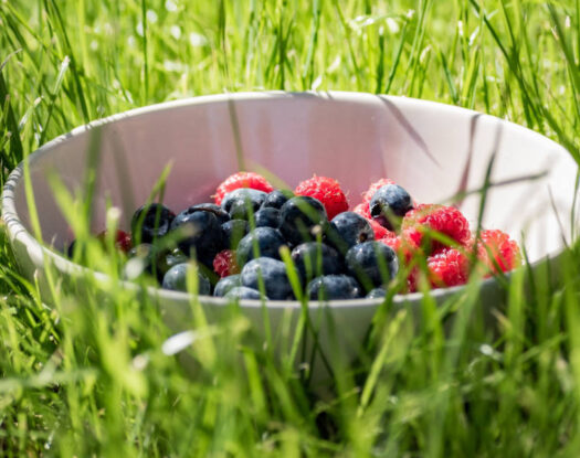 6 υπερτροφές που είναι κατάλληλες για άτομα με νόσο του Crohn