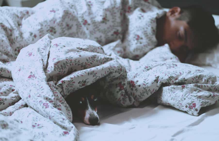 Πώς τα εκπαιδευμένα κατοικίδια μπορούν να βοηθήσουν άτομα με διαταραχές ύπνου