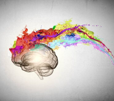 Πώς ο εγκέφαλός μας αποφασίζει τι είναι όμορφο (βίντεο)