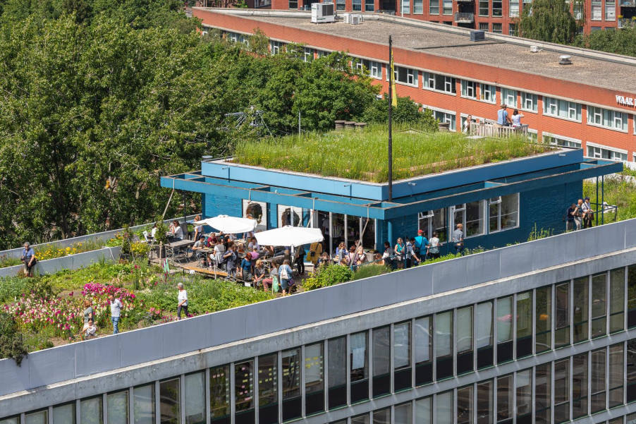 Το πρώτο αυτόνομο αγρόκτημα σε οροφή κτηρίου στην Ευρώπη βρίσκεται στο Ρότερνταμ (Φωτογραφίες)