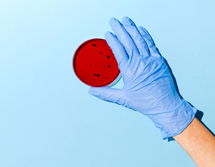 Αντιμετωπίζοντας τα βακτήρια με ιούς: Είναι η απάντηση στην αντίσταση στα αντιβιοτικά;