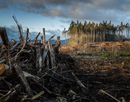 Κλιματική αλλαγή: Πώς ξέρουμε ότι συμβαίνει και ότι προκαλείται από τον άνθρωπο