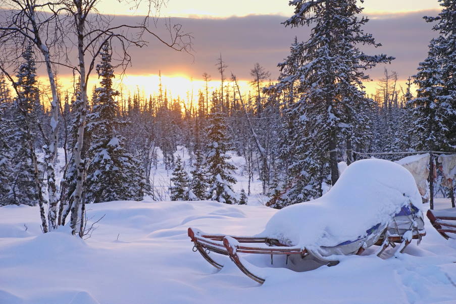 Ο Παγκόσμιος Οργανισμός Μετεωρολογίας κατέγραψε το ρεκόρ των 38℃ σε πόλη της Αρκτικής
