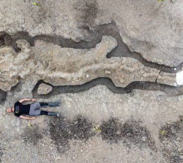 Ιχθυόσαυρος: Γιγαντιαίος απολιθωμένος «θαλάσσιος δράκος» βρέθηκε στη Βρετανία