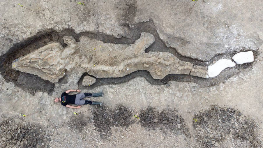 Ιχθυόσαυρος: Γιγαντιαίος απολιθωμένος «θαλάσσιος δράκος» βρέθηκε στη Βρετανία