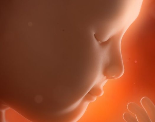 Η διαμόρφωση του ενήλικα ξεκινά από την ενδομήτρια ζωή | Συνέντευξη με τον Δρ Κωνσταντίνο Καυκαλίδη