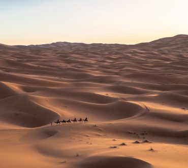 Πώς η Σαουδική Αραβία μετατρέπει την έρημο σε μια όαση καλλιεργήσιμου εδάφους (Βίντεο)