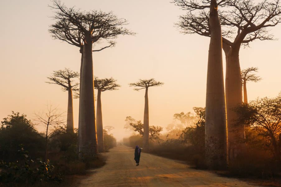 Πώς η κλιματική αλλαγή μετατρέπει την κάποτε πράσινη Μαδαγασκάρη σε έρημο