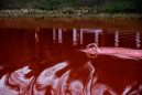 Λιθουανία: Χρυσή ολυμπιονίκης κολυμπά σε κόκκινη λίμνη για να στηρίξει τους Ουκρανούς στον αγώνα τους