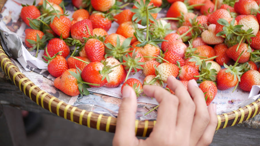 Έρευνα: Εντυπωσιακή είναι η αύξηση των τοξικών φυτοφαρμάκων στα φρούτα της Ευρώπης