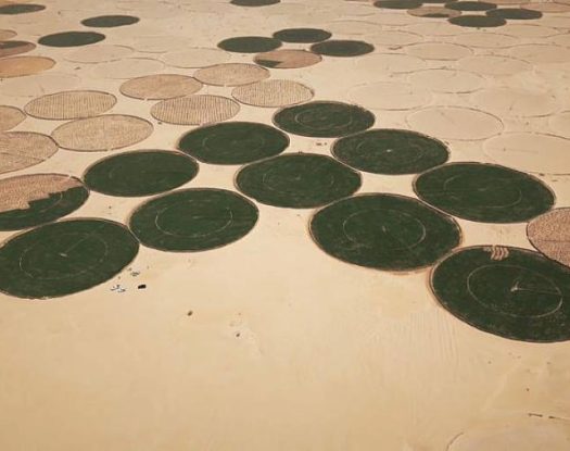 Από την άμμο στις πατάτες: Πώς η Αλγερία ενεργοποίησε τον γεωργικό της τομέα