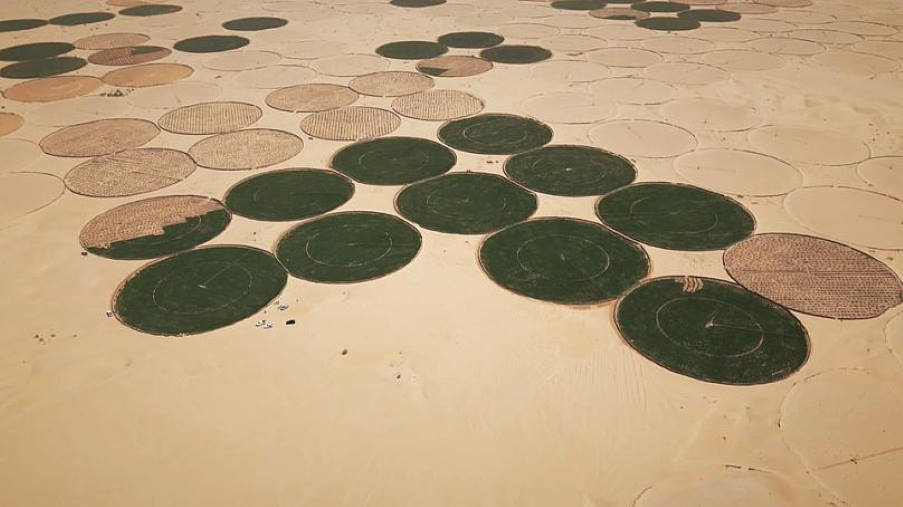 Από την άμμο στις πατάτες: Πώς η Αλγερία ενεργοποίησε τον γεωργικό της τομέα