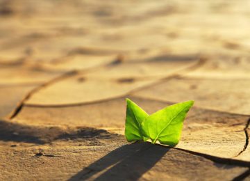 Συμφωνία του Παρισιού: Τι θα γίνει αν η θερμοκρασία αυξηθεί πάνω από 1,5° Κελσίου