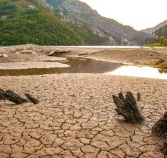 Act for Earth: Πώς επηρεάζει η ξηρασία τη ζωή στον πλανήτη (βίντεο)