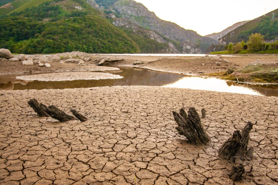 Act for Earth: Πώς επηρεάζει η ξηρασία τη ζωή στον πλανήτη (βίντεο)