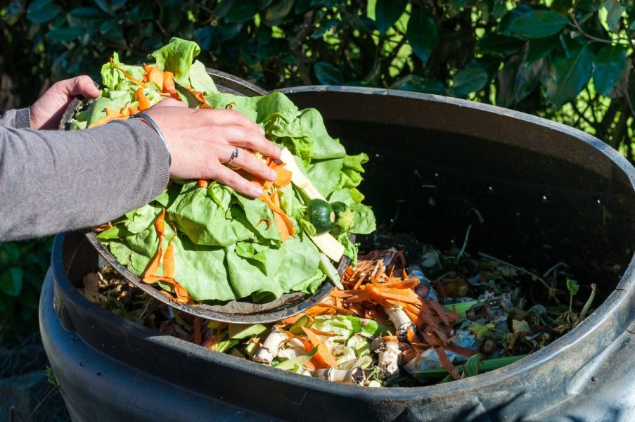 Μετάτρεψε τα σκουπίδια της κουζίνας σου σε οργανικό λίπασμα για τις γλάστρες και τον κήπο σου!