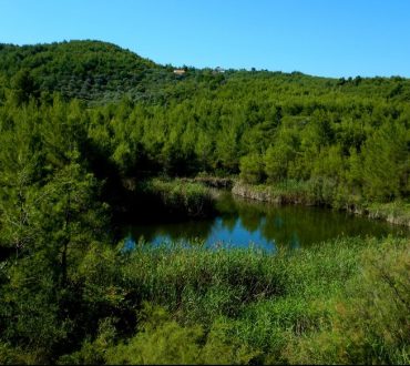 Μαυροσουβάλα: Ένας επίγειος Παράδεισος λίγα χιλιόμετρα μακριά από την Αθήνα (βίντεο)