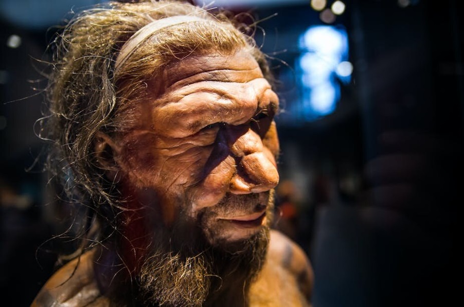 Οι άνθρωποι διέσχιζαν το Αιγαίο Πέλαγος πριν 700.000 χρόνια!