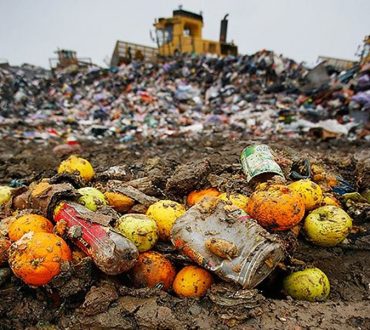 Food Waste App: Η εφαρμογή για να σταματήσουμε την σπατάλη τροφίμων (περίπου 1000 ευρώ πετάμε ετησίως στα σκουπίδια)